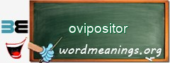 WordMeaning blackboard for ovipositor